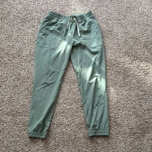 Patagonia Sage Green Track Joggers